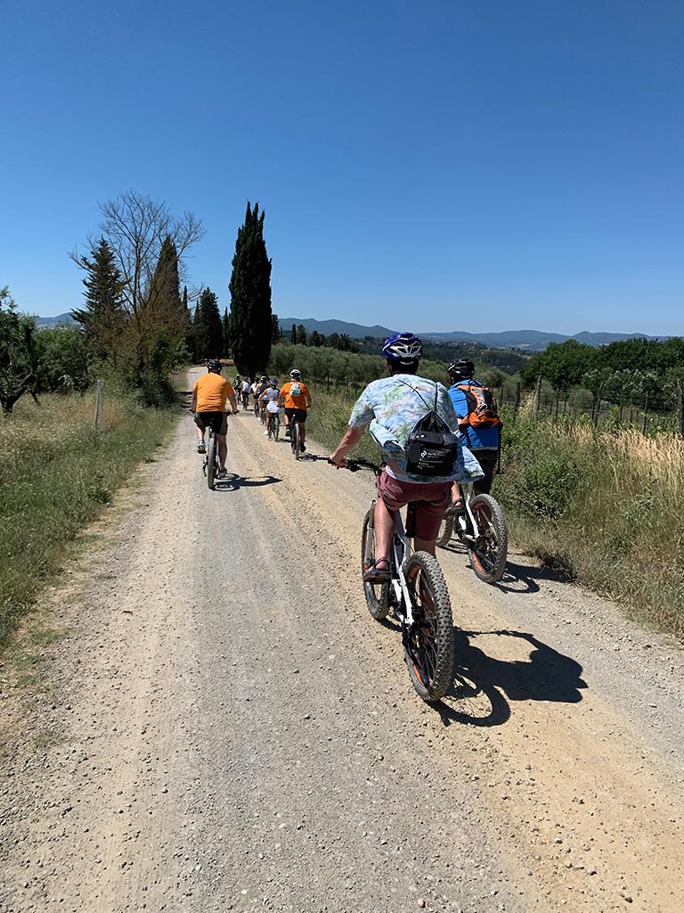 Ebike e Vino: esperienza di fattoria biologica