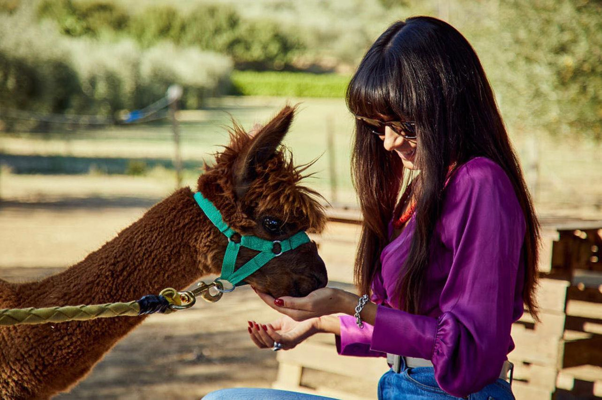 Passaggiate, trekking e feste con gli Alpaca
