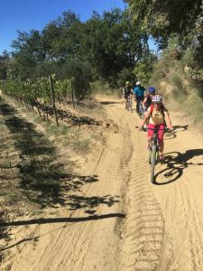 Tour in Ebike a San Gimignano