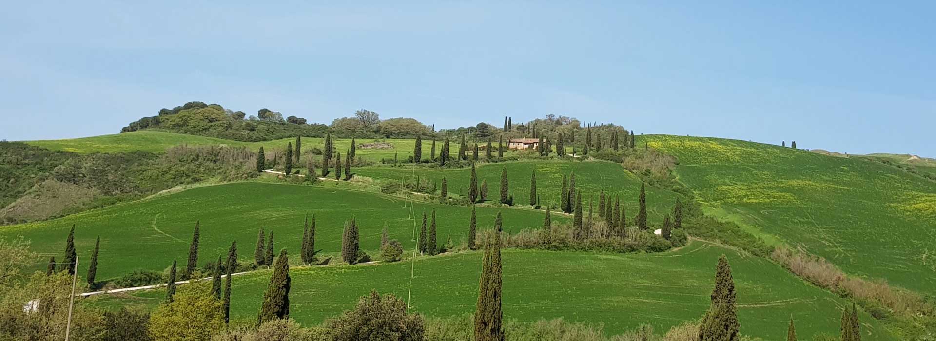 Tour in e-bike: la strada dei cipressi