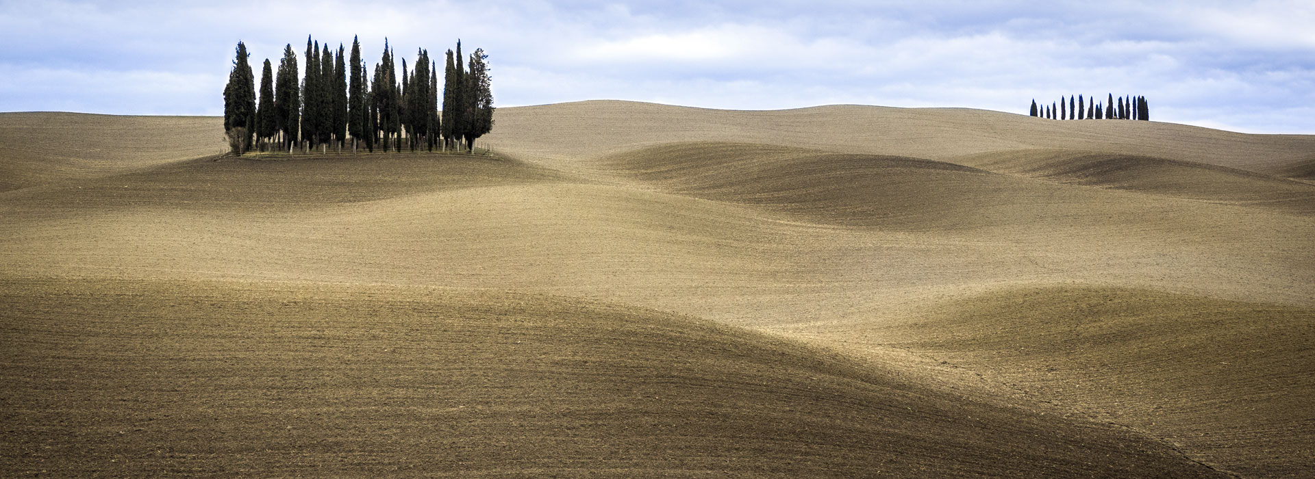 Tour in e-bike: tra le vigne e i cipressi