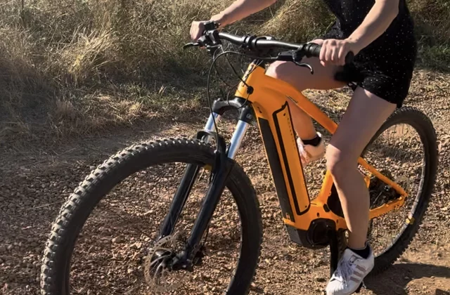Terricciola - Lajatico - Volterra: E-Bike Tour + Degustazione Vino e Olio di oliva