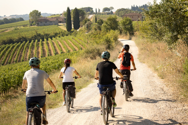 Valdichiana in eBike: un tour unico tra vigneti e storia