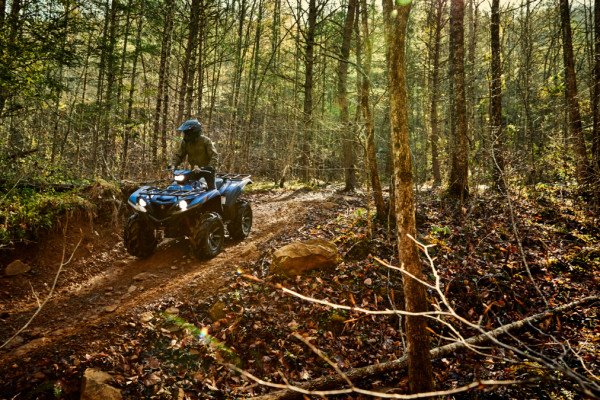 Tour in Quad: Orrido di Botri