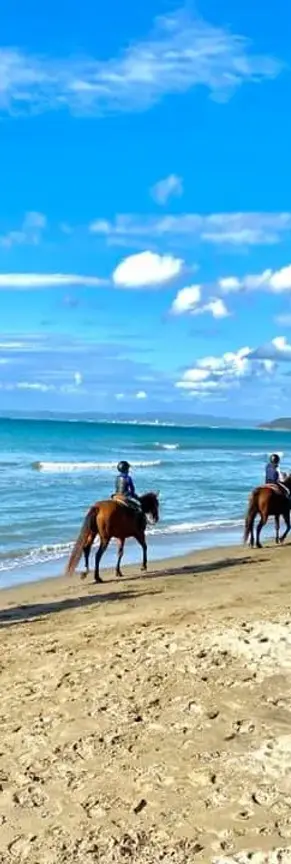 Passeggiate a cavallo a Cala Violina